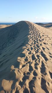 GC-Dunas de Maspalomas sunset 2026-073.jpg
